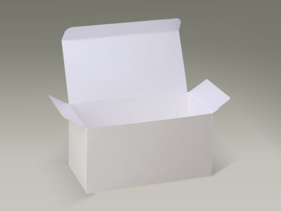 F 白PP（P1）CM310 T/B